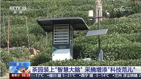 央視、人民網(wǎng)等權(quán)威媒體聚焦西湖龍井：托普云農(nóng)“黑科技”點(diǎn)亮千年茶香智變之路