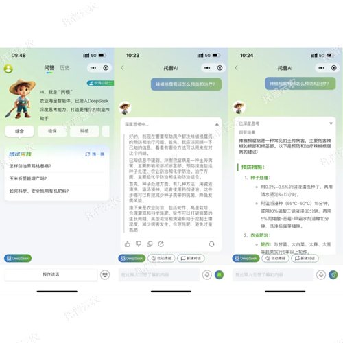 托普云農(nóng)“問(wèn)稷”智能體