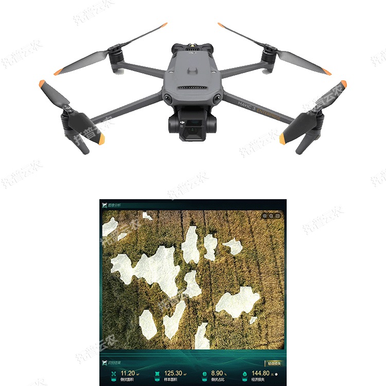 低空遙感植物表型分析系統(tǒng)（農(nóng)業(yè)無人機）