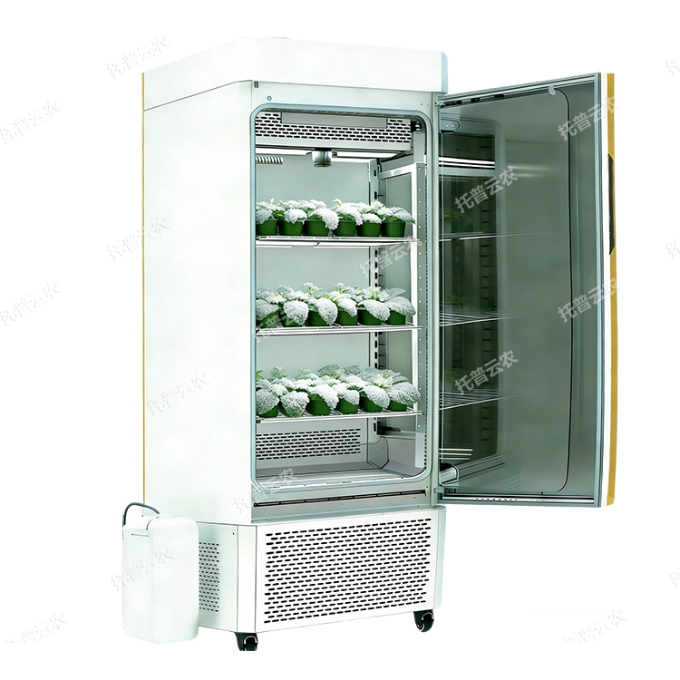 低溫植物培養(yǎng)箱